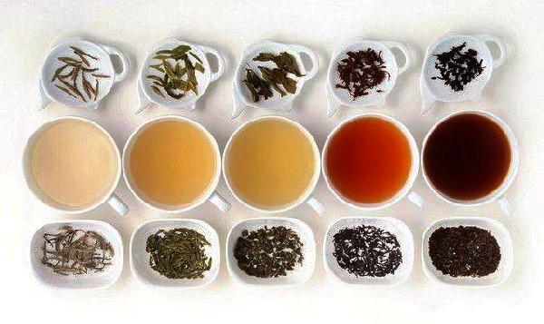 Herbal Vs Nonherbal Teas