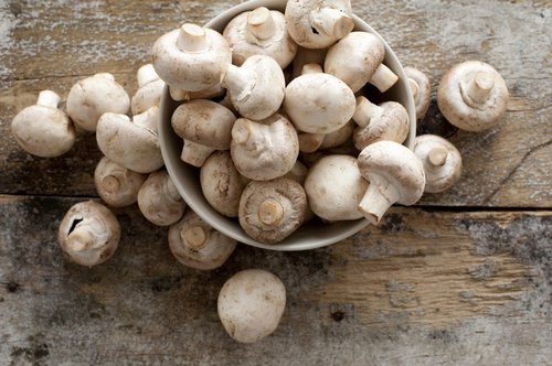 Eating mushroom helps weight loss, study says