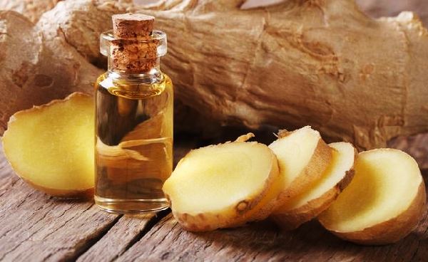 Ginger oil for weight loss