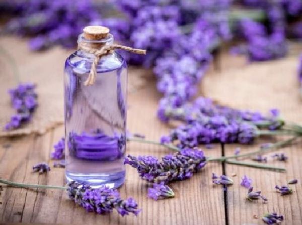 Lavender oil for weight loss
